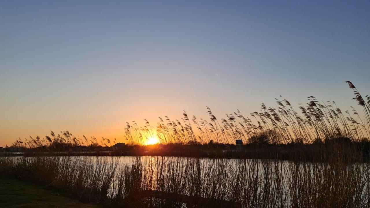 Verborgen Parel Aan De Rotte รอตเตอร์ดัม ภายนอก รูปภาพ