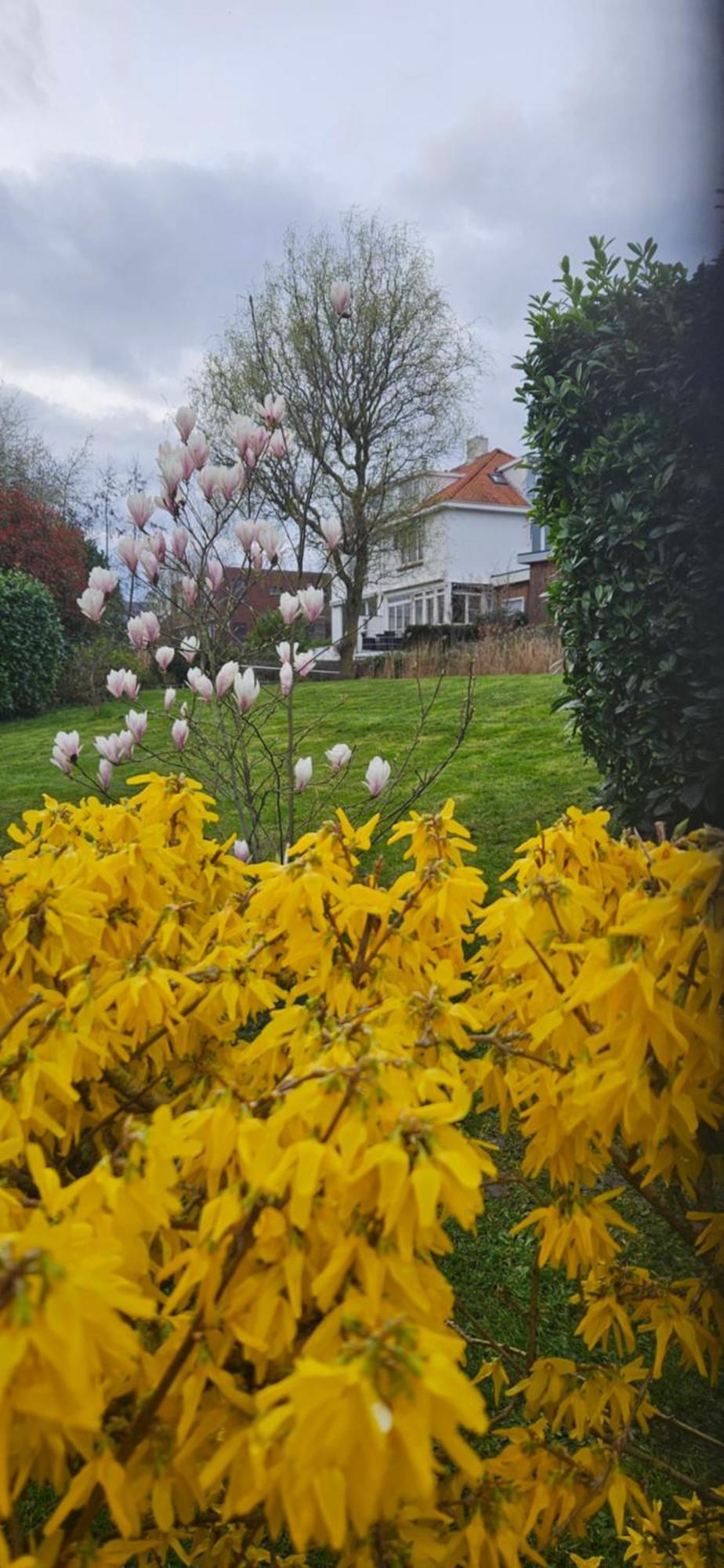Verborgen Parel Aan De Rotte รอตเตอร์ดัม ภายนอก รูปภาพ