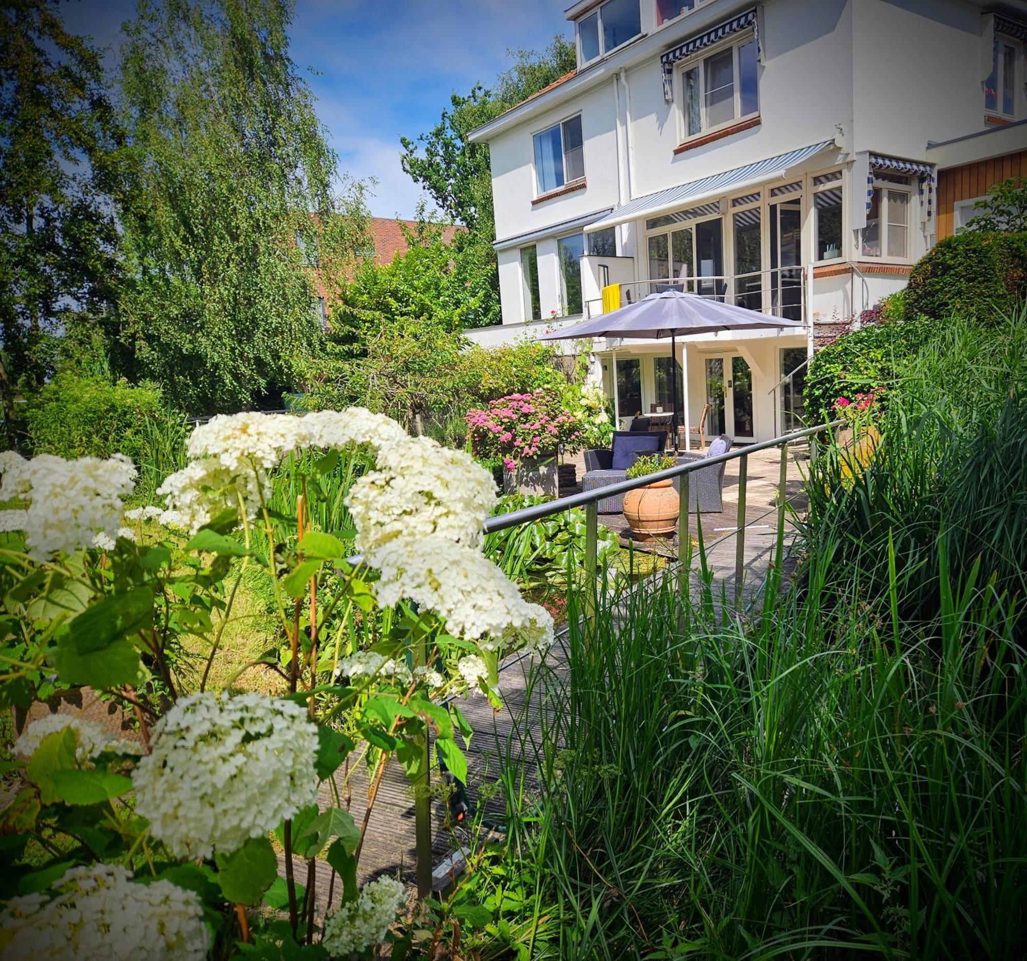 Verborgen Parel Aan De Rotte รอตเตอร์ดัม ภายนอก รูปภาพ